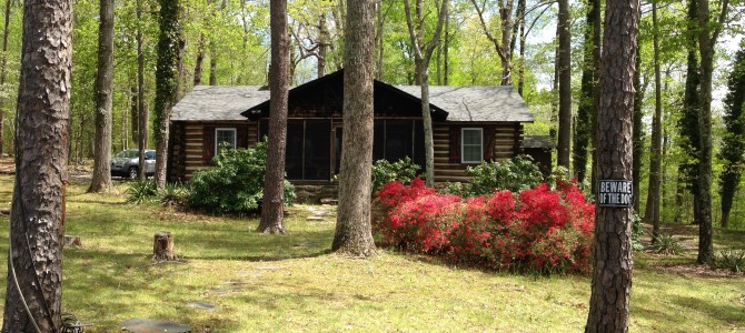 Cabin on the lake
